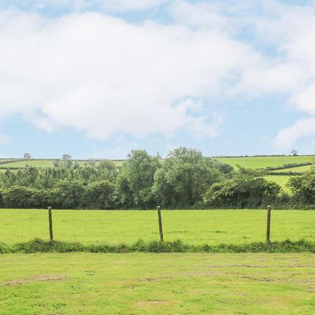 South Boduel Farmhouse Liskeard Bagian luar foto