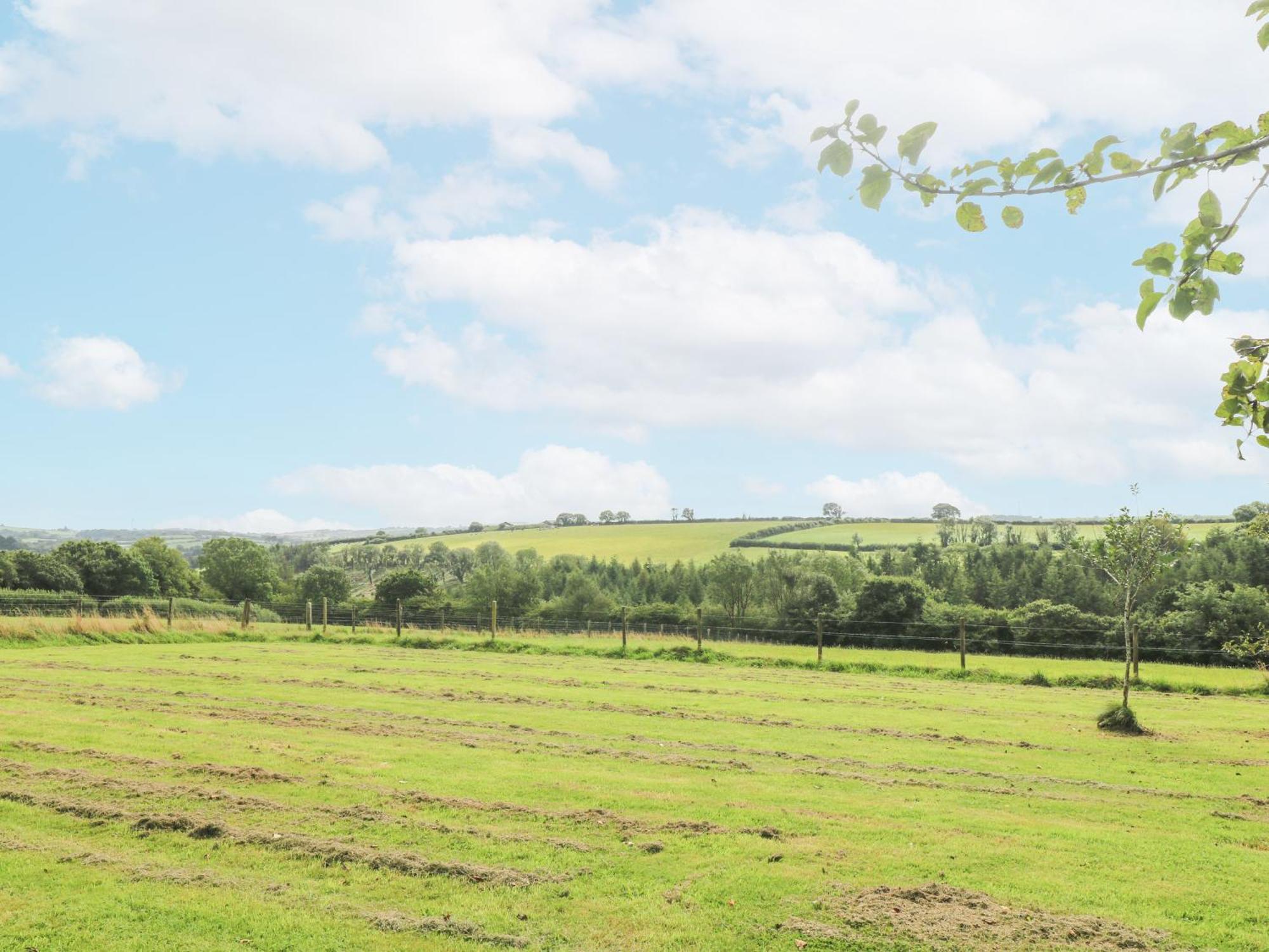 South Boduel Farmhouse Liskeard Bagian luar foto