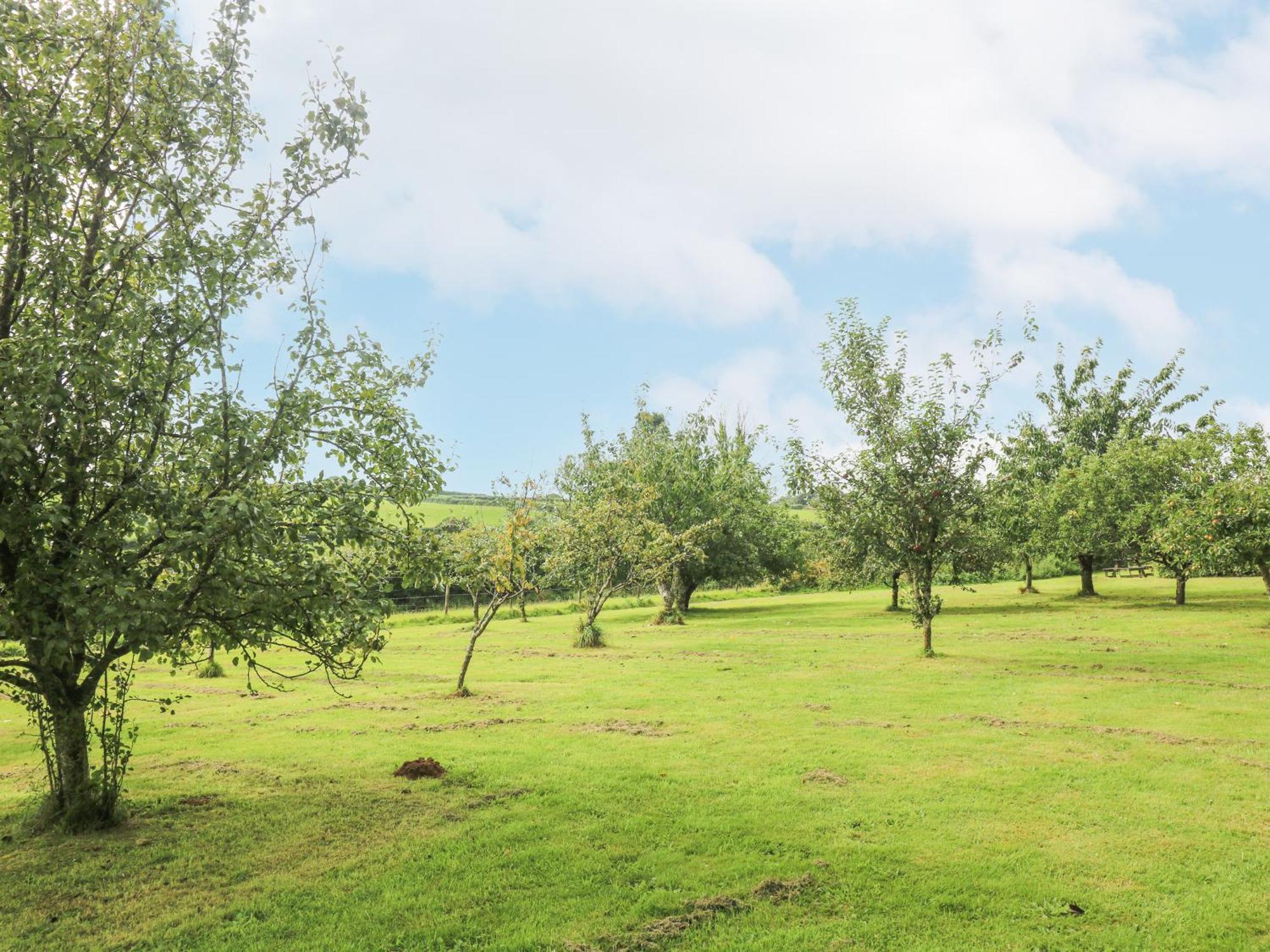South Boduel Farmhouse Liskeard Bagian luar foto