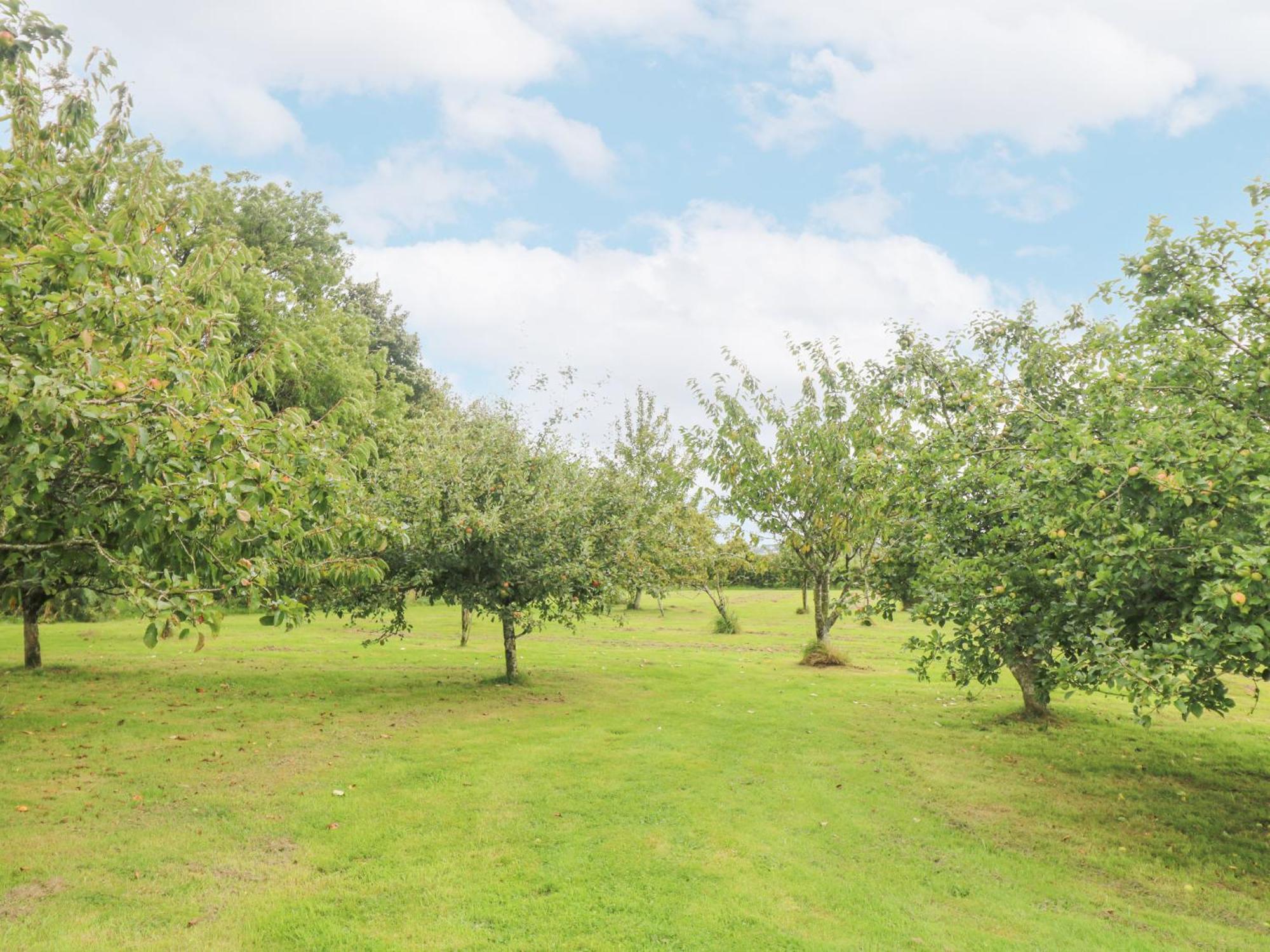 South Boduel Farmhouse Liskeard Bagian luar foto